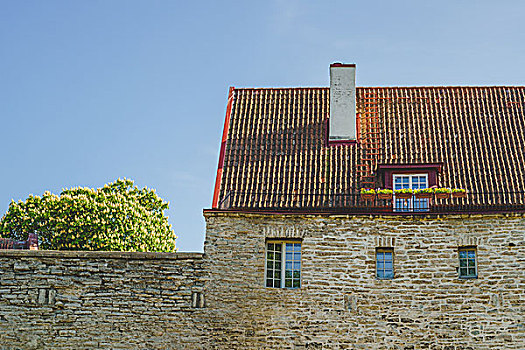 中世纪,石屋,建筑,红色,瓷砖,屋顶,窗户,花,罐