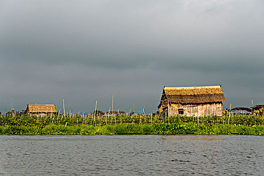 漂浮,农场,屋舍,茵莱湖,掸邦,缅甸,大幅,尺寸