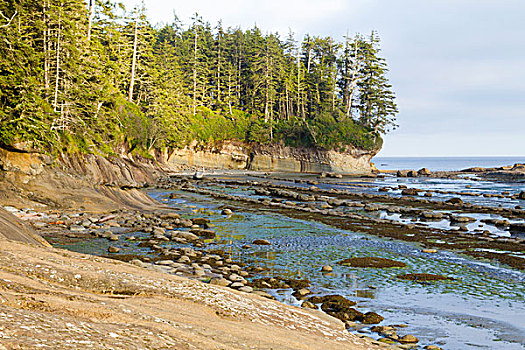 加拿大,环太平洋国家公园,西海岸小径,海岸线,海滩,进入