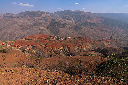 东川红土地田园风光