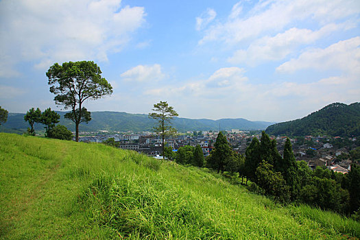 俯瞰,古镇,古村,山村,松树