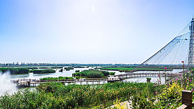 沙湖风景