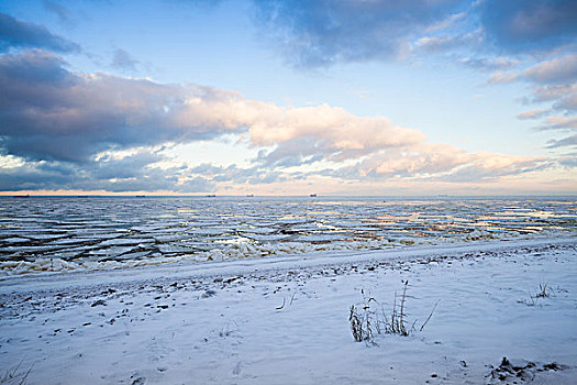 冬天,海边风景,漂浮,冰,靠近,海岸,海湾地区,芬兰