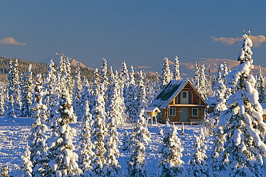 小屋,靠近,阿拉斯加,冬天,景色