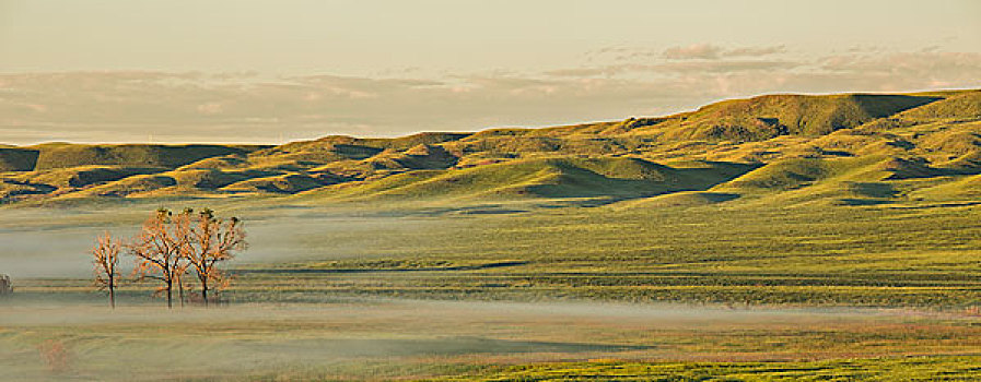 日出,雾,山谷,草原国家公园,萨斯喀彻温,加拿大