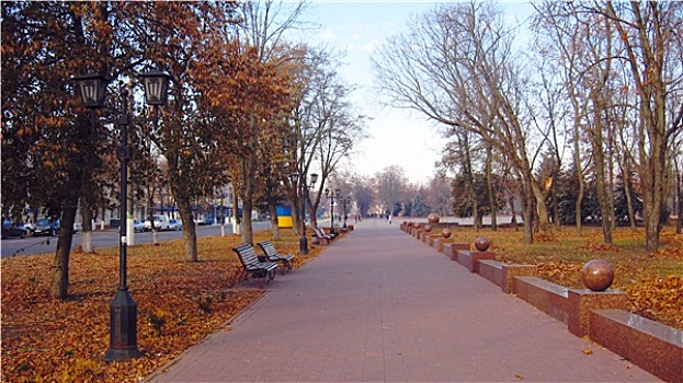 长椅,小路,秋天,城市公园