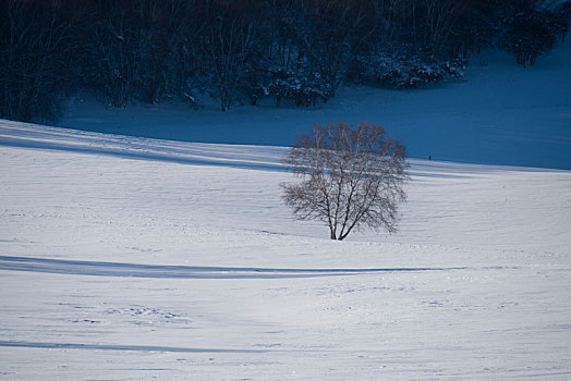 雪景