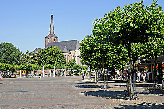 市场,教堂,莱茵河,区域,北莱茵威斯特伐利亚,德国,欧洲