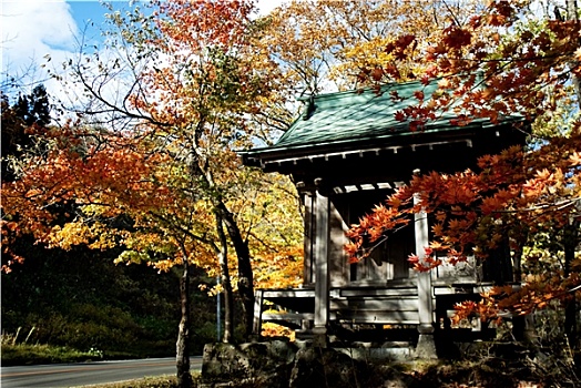 秋天,风景,日本茶,房子