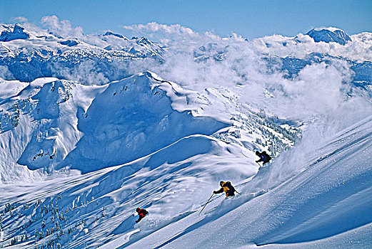 三个,滑雪者,清新,粉末,边远地区,不列颠哥伦比亚省,加拿大