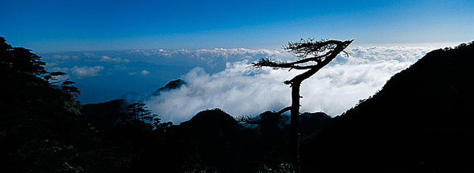 江西三青山自然风光