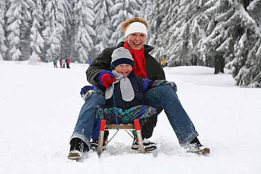 母亲,男孩,四个,岁月,滑雪橇,森林,图林根州,德国,欧洲