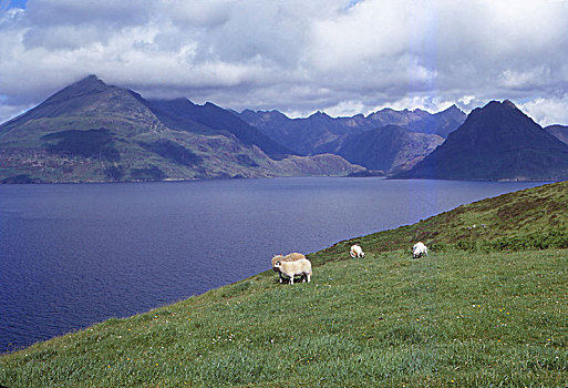 黑色,湖,靠近,斯凯岛,苏格兰,20世纪,艺术家
