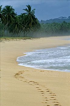 加纳,西部,区域,脚印,荒芜,海滩