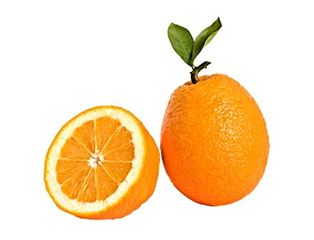 橙色,局部,隔绝,白色背景,背景