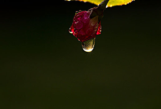 水点