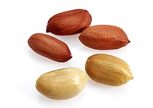 白底花生图片_白底花生图片大全_白底花生图片素材