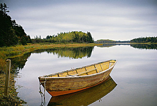 小,木質,劃艇,停泊,靜水,港口,愛德華王子島,加拿大