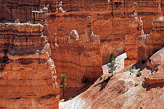 风景,色彩,岩石构造,仙人烟囱岩,布莱斯峡谷国家公园,犹他,美国,北美