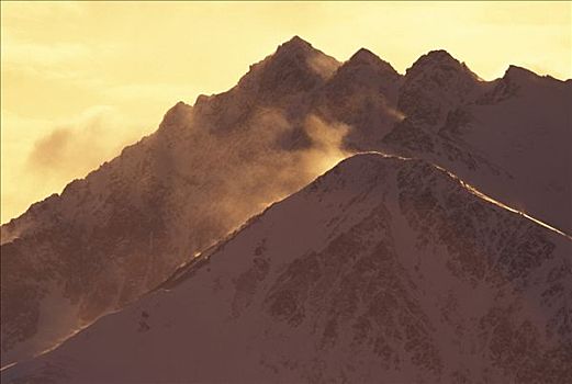 雪,诱惑,顶峰,北极,山谷,冬天