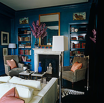 光泽,蓝色,客厅,一对,小山羊皮,图书馆,椅子,壁炉