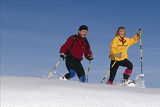 伴侣,雪鞋,楚加,冬天