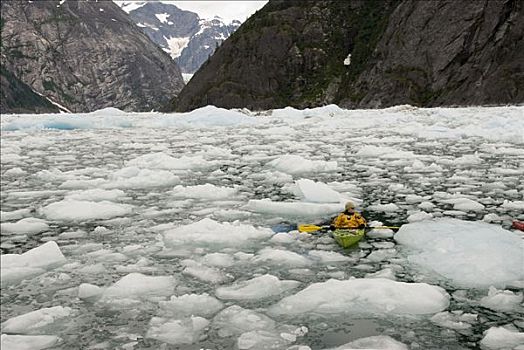 皮划艇手,划船,浮冰,展示,证据,全球变暖,阿拉斯加