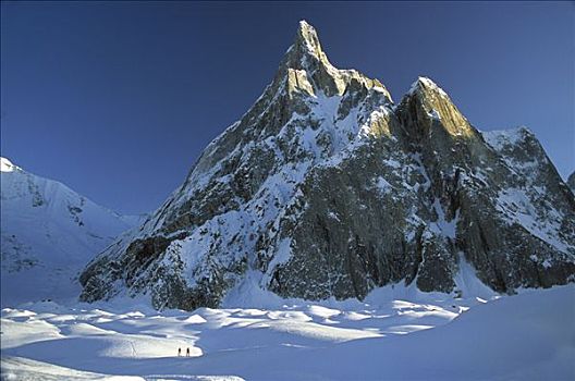 滑雪者,尖顶,无名,顶峰,靠近,喀喇昆仑山,巴基斯坦