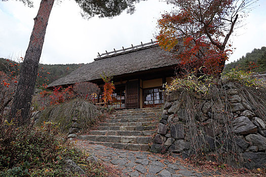 日本富士山河口湖里根场