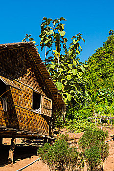 缅甸,掸邦,靠近,卡劳,绿色,山,山谷,露营,传统,房子