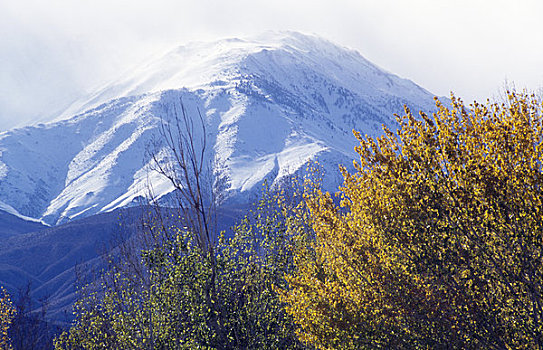 仰视,积雪,山峦,加利福尼亚,美国