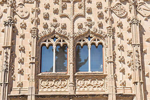 宫殿,建筑,窗户,巴埃萨,西班牙