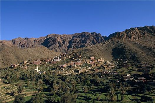 摩洛哥,乡村,种植