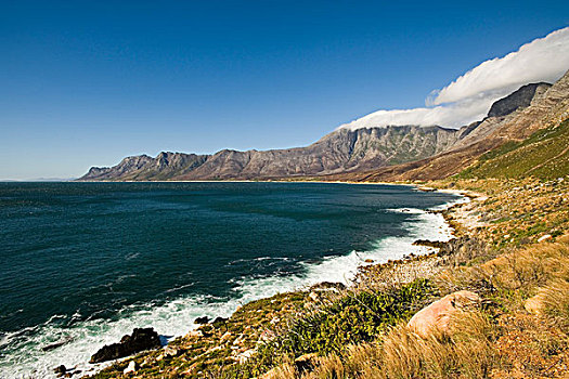 湾,景色,路线,西海角,南非,非洲