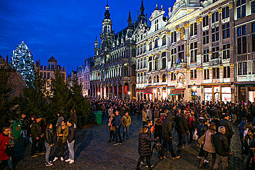 比利时,布鲁塞尔,大广场,晚间,光亮,圣诞节