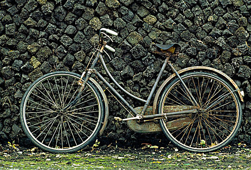 自行车,正面,草皮,堆