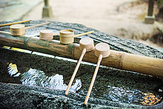 特写,竹子,水,洗,日本神道,神祠,福冈,日本