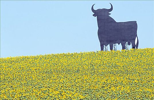 西班牙,安达卢西亚,地点,公牛,背景