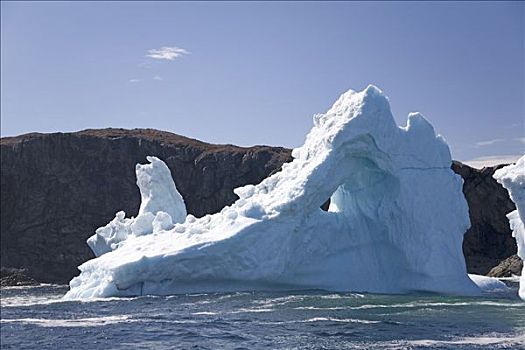 冰山,靠近,特威林盖特岛,纽芬兰,加拿大