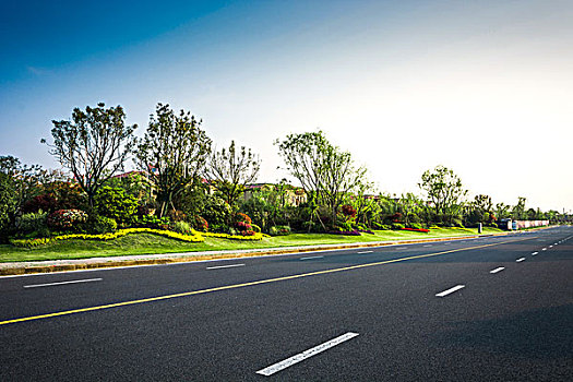 柏油路和森林