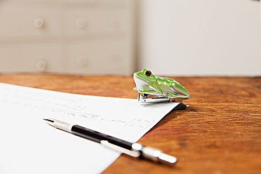 青蛙,形状,订书机,笔,纸