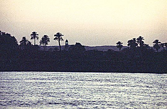 埃及,尼罗河,风景,日落