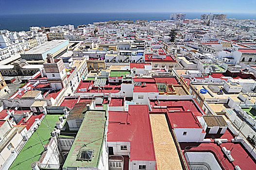 风景,塔维拉,塔,彩色,屋顶,哥斯达黎加,安达卢西亚,西班牙