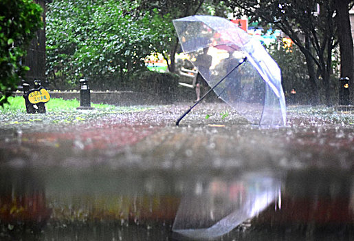 雨中