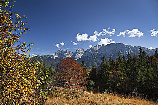 风景,山,途中,向上,高,米滕瓦尔德,巴伐利亚,德国