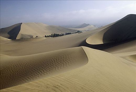 荒漠沙丘,绿洲,乡村