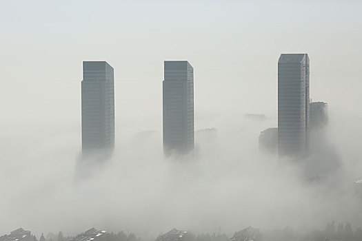 日照港出现平流雾奇观,几十米高的门机桥吊只露顶端