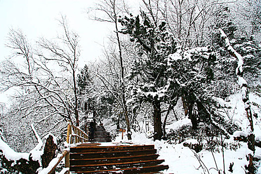 雪景