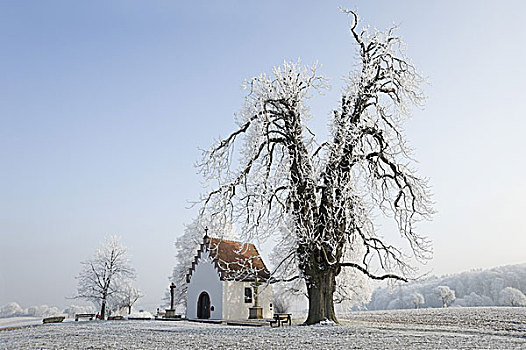 德国,巴登符腾堡,小教堂,冬天,白霜