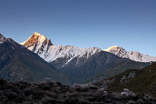 金山,斜阳